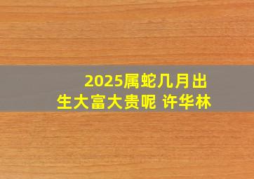 2025属蛇几月出生大富大贵呢 许华林